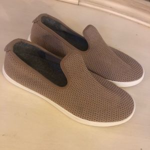 Women’s All Birds Tree Loungers